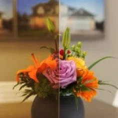 Bronze Tint glass sample