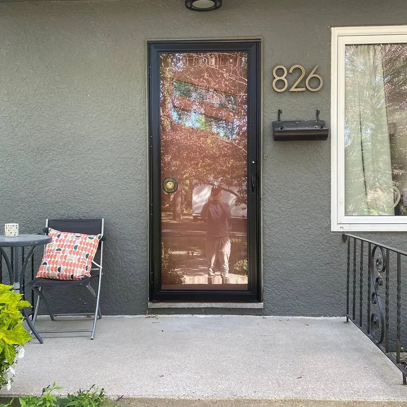 Storm door