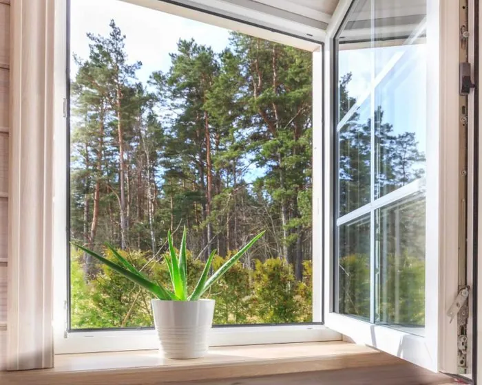 Open casement window looking out at a pine forest