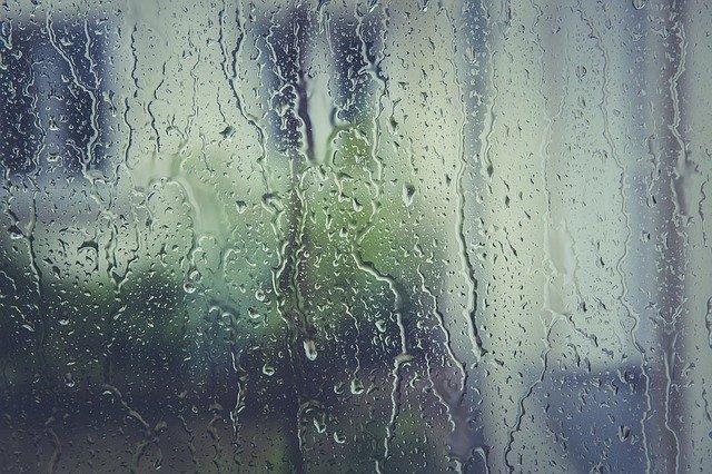 Window Condensation: Why It Happens and How to Stop It